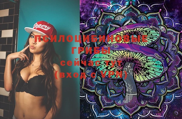 спайс Баксан