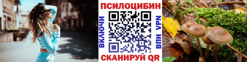 Галлюциногенные грибы мицелий  Купить где  Могоча 